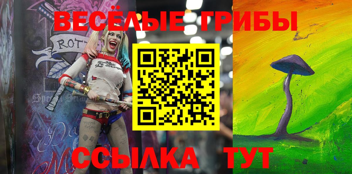 Улан-Удэ  наркотики  Вход с VPN  Галлюциногенные грибы прущие грибы 